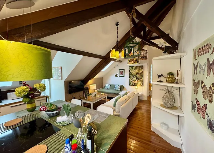 Studios With Mezzanine Rua Da Moeda